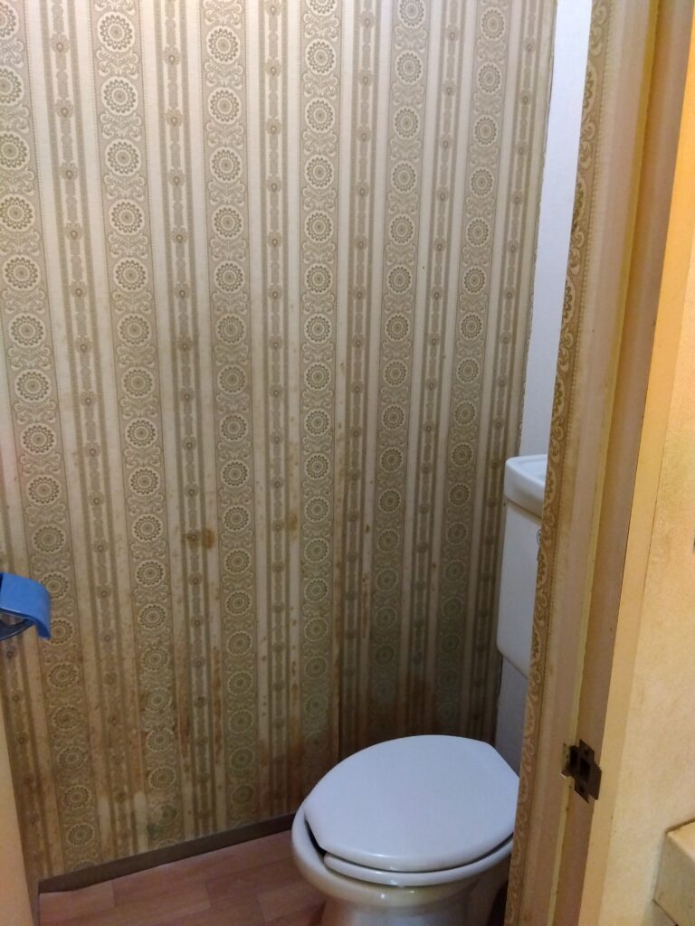 【施工前】トイレ入れ替え